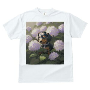 _bNXth TVc  j[NfUCfB[X t@  t vg lJWA 킢 lԗp Mtg I ҏ΍ AWTC _bNXth  A 