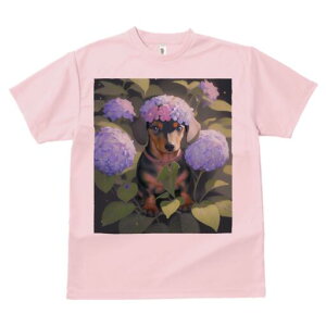 _bNXth TVc  j[NfUCfB[X t@  t vg lJWA 킢 lԗp Mtg I ҏ΍  _bNXth AWTC