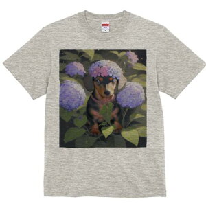 _bNXth TVc  j[NfUCfB[X t@  t vg lJWA 킢 lԗp Mtg I ҏ΍  _bNXth AWTC