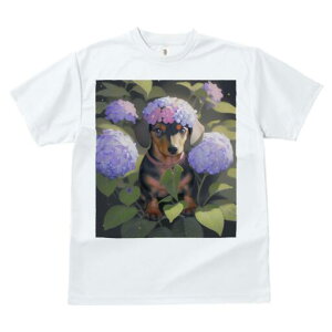 _bNXth TVc  j[NfUCfB[X t@  t vg lJWA 킢 lԗp Mtg I ҏ΍  _bNXth AWTC