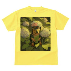 _bNXth TVc  j[NfUCY LbY t@  t vg lJWA 킢 lԗp Mtg I ҏ΍  _bNXth AWTC