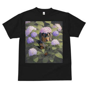 _bNXth TVc  j[NfUCY LbY t@  t vg lJWA 킢 lԗp Mtg I ҏ΍  _bNXth AWTC A t