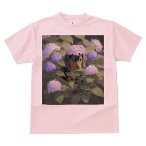 _bNXth TVc  j[NfUCY LbY t@  t vg lJWA 킢 lԗp Mtg I ҏ΍  _bNXth AWTC A t