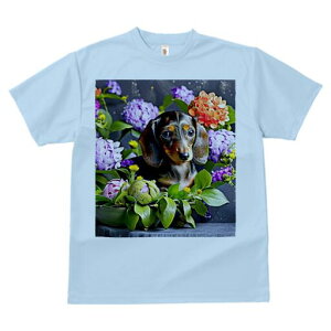 _bNXth TVc  j[NfUCfB[X t@  t vg lJWA 킢 lԗp Mtg I ҏ΍  _bNXth z IWF̉ 