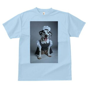 _VA TVc  j[NfUCfB[X t@  t vg lJWA 킢 lԗp Mtg I ҏ΍ Ch _VA Xq