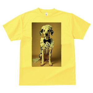 _VA TVc  j[NfUCfB[X t@  t vg lJWA 킢 lԗp Mtg I ҏ΍ RbNX _VA lN^C RX`