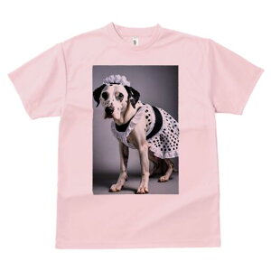 _VA TVc  j[NfUCfB[X t@  t vg lJWA 킢 lԗp Mtg I ҏ΍ Ch _VA 