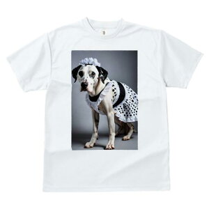 _VA TVc  j[NfUCfB[X t@  t vg lJWA 킢 lԗp Mtg I ҏ΍ Ch _VA 