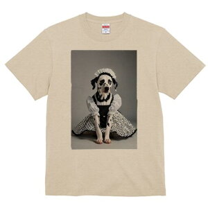 _VA TVc  j[NfUCfB[X t@  t vg lJWA 킢 lԗp Mtg I ҏ΍ Ch _VA RX`[ hbO