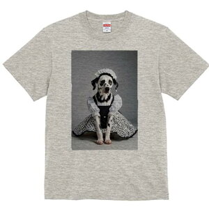 _VA TVc  j[NfUCfB[X t@  t vg lJWA 킢 lԗp Mtg I ҏ΍ Ch _VA RX`[ hbO