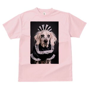 _VA TVc  j[NfUCfB[X t@  t vg lJWA 킢 lԗp Mtg I ҏ΍ Ch _VA RX`[