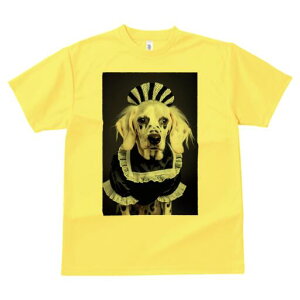 _VA TVc  j[NfUCfB[X t@  t vg lJWA 킢 lԗp Mtg I ҏ΍ Ch _VA RX`[