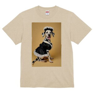 _VA TVc  j[NfUCfB[X t@  t vg lJWA 킢 lԗp Mtg I ҏ΍ Ch _VA RX`[ pR