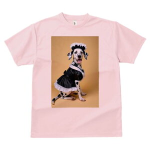 _VA TVc  j[NfUCfB[X t@  t vg lJWA 킢 lԗp Mtg I ҏ΍ Ch _VA RX`[ pR