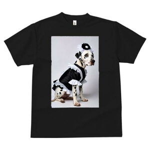 _VA TVc  j[NfUCfB[X t@  t vg lJWA 킢 lԗp Mtg I ҏ΍ Ch _VA RX`[ pR