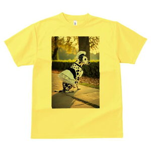 _VA TVc  j[NfUCfB[X t@  t vg lJWA 킢 lԗp Mtg I ҏ΍ RbNX _VA Gv  