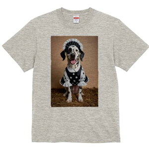 _VA TVc  j[NfUCfB[X t@  t vg lJWA 킢 lԗp Mtg I ҏ΍ Ch _VA ʖ͗l J`[V