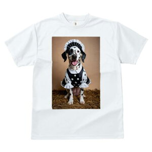 _VA TVc  j[NfUCfB[X t@  t vg lJWA 킢 lԗp Mtg I ҏ΍ Ch _VA ʖ͗l J`[V