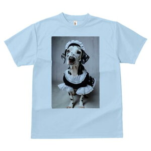 _VA TVc  j[NfUCfB[X t@  t vg lJWA 킢 lԗp Mtg I ҏ΍ Ch _VA t