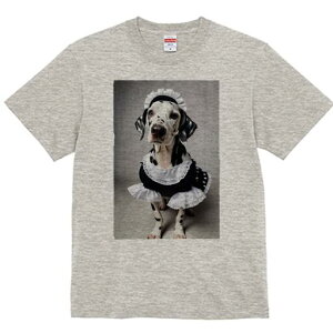 _VA TVc  j[NfUCfB[X t@  t vg lJWA 킢 lԗp Mtg I ҏ΍ Ch _VA t