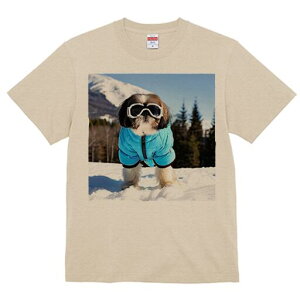 V[Y[ TVc  j[NfUCfB[X t@  t vg lJWA 킢 lԗp Mtg I ҏ΍ XL[ V[Y[ ~  XL[EFA