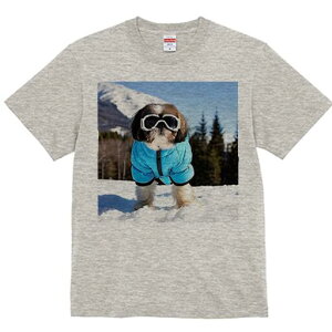 V[Y[ TVc  j[NfUCfB[X t@  t vg lJWA 킢 lԗp Mtg I ҏ΍ XL[ V[Y[ ~  XL[EFA