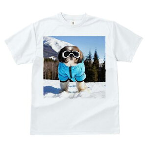 V[Y[ TVc  j[NfUCY LbY t@  t vg lJWA 킢 lԗp Mtg I ҏ΍ XL[ V[Y[ ~  XL[EFA