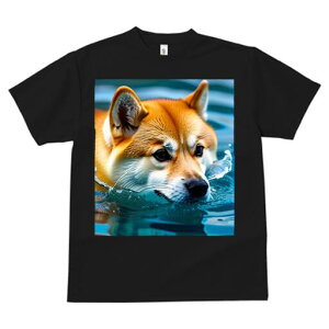 Č TVc  j[NfUCfB[X t@  t vg lJWA 킢 lԗp Mtg I ҏ΍  Č C  