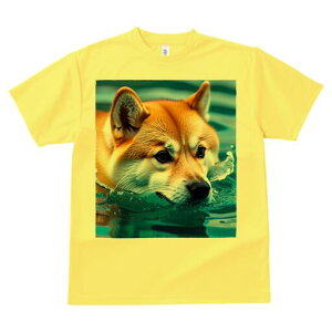 Č TVc  j[NfUCfB[X t@  t vg lJWA 킢 lԗp Mtg I ҏ΍  Č C  