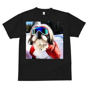 V[Y[ TVc  j[NfUCfB[X t@  t vg lJWA 킢 lԗp Mtg I ҏ΍ XL[ V[Y[ XL[EFA R