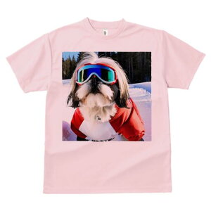 V[Y[ TVc  j[NfUCfB[X t@  t vg lJWA 킢 lԗp Mtg I ҏ΍ XL[ V[Y[ XL[EFA R