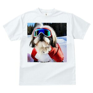 V[Y[ TVc  j[NfUCfB[X t@  t vg lJWA 킢 lԗp Mtg I ҏ΍ XL[ V[Y[ XL[EFA R