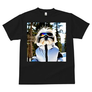 V[Y[ TVc  j[NfUCfB[X t@  t vg lJWA 킢 lԗp Mtg I ҏ΍ XL[EFA V[Y[ XL[S[O R ~