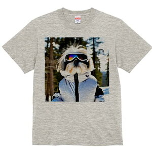 V[Y[ TVc  j[NfUCfB[X t@  t vg lJWA 킢 lԗp Mtg I ҏ΍ XL[EFA V[Y[ XL[S[O R ~