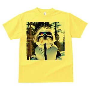 V[Y[ TVc  j[NfUCfB[X t@  t vg lJWA 킢 lԗp Mtg I ҏ΍ XL[EFA V[Y[ XL[S[O R ~