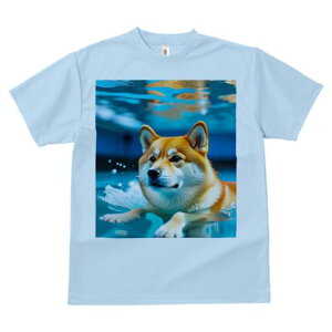 Č TVc  j[NfUCfB[X t@  t vg lJWA 킢 lԗp Mtg I ҏ΍  Č  v[