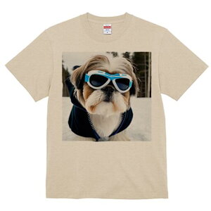 V[Y[ TVc  j[NfUCfB[X t@  t vg lJWA 킢 lԗp Mtg I ҏ΍ TOX V[Y[ XL[EFA 