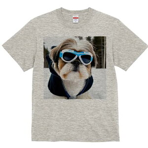 V[Y[ TVc  j[NfUCfB[X t@  t vg lJWA 킢 lԗp Mtg I ҏ΍ TOX V[Y[ XL[EFA 