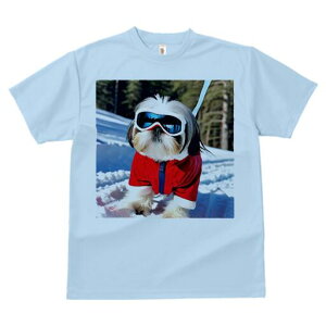 V[Y[ TVc  j[NfUCfB[X t@  t vg lJWA 킢 lԗp Mtg I ҏ΍ XL[ V[Y[  ~ XL[EFA