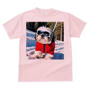 V[Y[ TVc  j[NfUCfB[X t@  t vg lJWA 킢 lԗp Mtg I ҏ΍ XL[ V[Y[  ~ XL[EFA