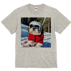 V[Y[ TVc  j[NfUCfB[X t@  t vg lJWA 킢 lԗp Mtg I ҏ΍ XL[ V[Y[  ~ XL[EFA