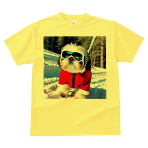 V[Y[ TVc  j[NfUCfB[X t@  t vg lJWA 킢 lԗp Mtg I ҏ΍ XL[ V[Y[  ~ XL[EFA