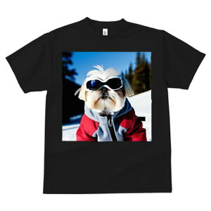 V[Y[ TVc  j[NfUCfB[X t@  t vg lJWA 킢 lԗp Mtg I ҏ΍ XL[ V[Y[ XL[EFA S[O R