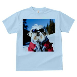 V[Y[ TVc  j[NfUCY LbY t@  t vg lJWA 킢 lԗp Mtg I ҏ΍ XL[ V[Y[ XL[EFA S[O R