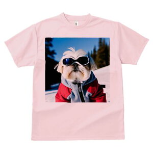 V[Y[ TVc  j[NfUCY LbY t@  t vg lJWA 킢 lԗp Mtg I ҏ΍ XL[ V[Y[ XL[EFA S[O R