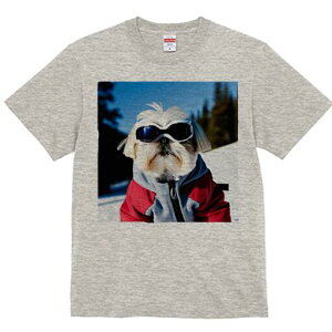 V[Y[ TVc  j[NfUCfB[X t@  t vg lJWA 킢 lԗp Mtg I ҏ΍ XL[ V[Y[ XL[EFA S[O R