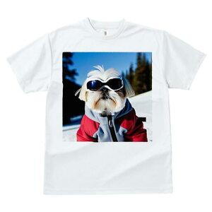 V[Y[ TVc  j[NfUCfB[X t@  t vg lJWA 킢 lԗp Mtg I ҏ΍ XL[ V[Y[ XL[EFA S[O R