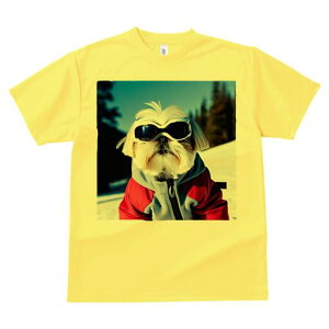 V[Y[ TVc  j[NfUCfB[X t@  t vg lJWA 킢 lԗp Mtg I ҏ΍ XL[ V[Y[ XL[EFA S[O R