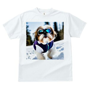 V[Y[ TVc  j[NfUCY LbY t@  t vg lJWA 킢 lԗp Mtg I ҏ΍  V[Y[ XL[EFA S[O