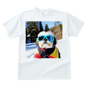 V[Y[ TVc  j[NfUCfB[X t@  t vg lJWA 킢 lԗp Mtg I ҏ΍ XL[ V[Y[ ~  XL[EFA